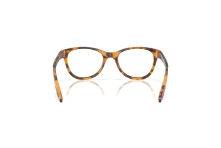Achteraanzicht Oakley HUMBLY (OY8022 - 802206)