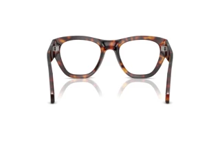 Achteraanzicht Persol PO0054V (24)