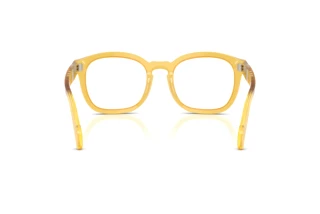 Achteraanzicht Persol PO0082V (204)