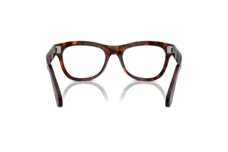 Achteraanzicht Persol PO0086V (24)