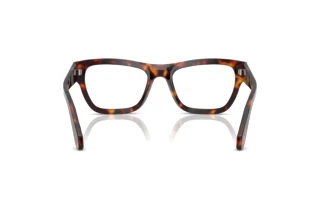 Achteraanzicht Persol PO0091V (24)