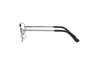 Zijaanzicht Persol PO1010V (513)