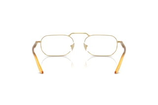 Achteraanzicht Persol PO1020V (1129)
