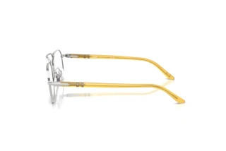 Zijaanzicht Persol PO1020V (518)