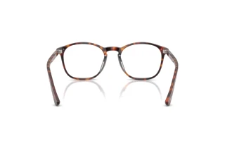 Achteraanzicht Persol PO3007VX (24)