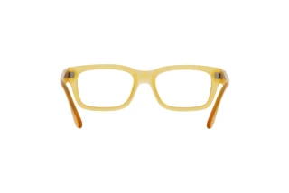 Achteraanzicht Persol PO3301V (204)