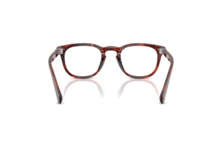 Achteraanzicht Persol GIANNI (PO3406V - 1242)