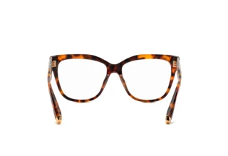 Achteraanzicht Philipp Plein VPP051M (0728)