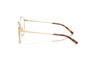 Zijaanzicht Ralph Lauren RL5120 (9453)