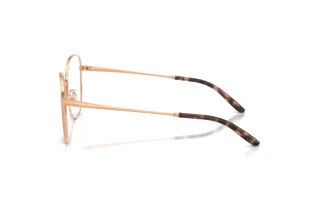 Zijaanzicht Ralph Lauren RL5120 (9489)