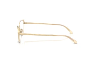 Zijaanzicht Ralph Lauren RL5131 (9116)