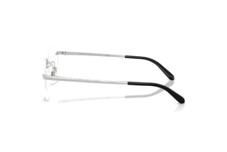 Zijaanzicht Ralph Lauren RL5134 (9001)