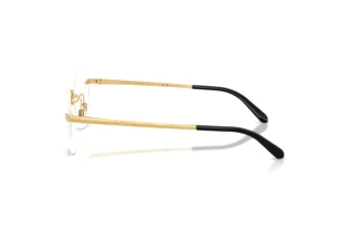 Zijaanzicht Ralph Lauren RL5134 (9004)