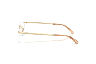 Zijaanzicht Ralph Lauren RL5134 (9116)