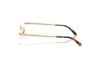Zijaanzicht Ralph Lauren RL5134 (9153)