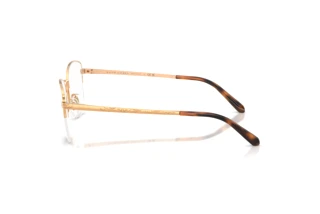 Zijaanzicht Ralph Lauren RL5135 (9153)