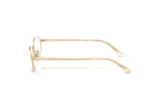 Zijaanzicht Ralph Lauren RL5140 (9116)