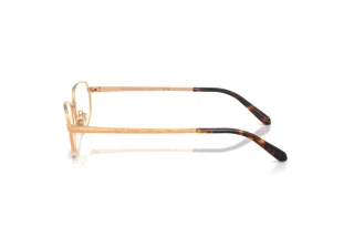 Zijaanzicht Ralph Lauren RL5140 (9153)