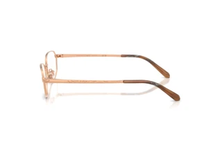Zijaanzicht Ralph Lauren RL5140 (9329)