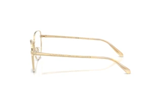 Zijaanzicht Ralph Lauren RL5141 (9116)