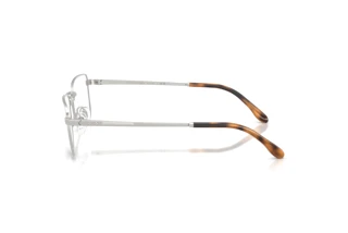 Zijaanzicht Ralph Lauren RL5145 (9466)