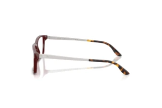 Zijaanzicht Ralph Lauren RL6128 (6311)