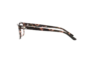 Zijaanzicht Ralph Lauren RL6169 (5655)