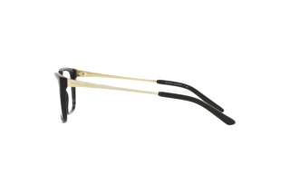 Zijaanzicht Ralph Lauren RL6206 (5001)