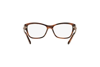 Achteraanzicht Ralph Lauren RL6210Q (5007)
