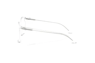 Zijaanzicht Ralph Lauren RL6222 (5002)