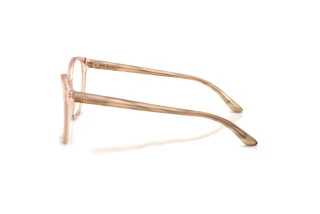 Zijaanzicht Ralph Lauren RL6222 (6110)
