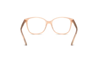 Achteraanzicht Ralph Lauren RL6222 (6110)