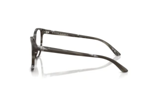 Zijaanzicht Ralph Lauren RL6222 (6175)