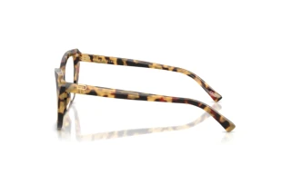 Zijaanzicht Ralph Lauren RL6232U (5004)