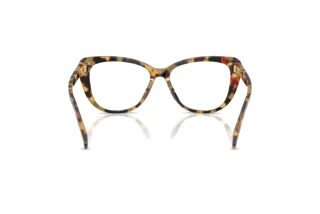 Achteraanzicht Ralph Lauren RL6232U (5004)
