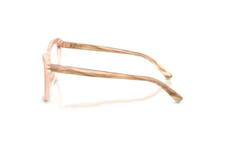 Zijaanzicht Ralph Lauren RL6232U (6110)
