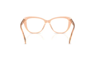 Achteraanzicht Ralph Lauren RL6232U (6110)