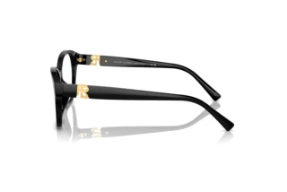 Zijaanzicht Ralph Lauren RL6236U (5001)