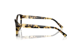 Zijaanzicht Ralph Lauren RL6236U (5004)