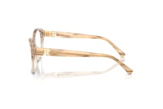 Zijaanzicht Ralph Lauren RL6236U (6111)