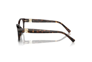 Zijaanzicht Ralph Lauren RL6237U (5003)