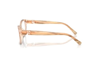 Zijaanzicht Ralph Lauren RL6237U (6110)