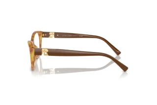 Zijaanzicht Ralph Lauren RL6237U (6113)