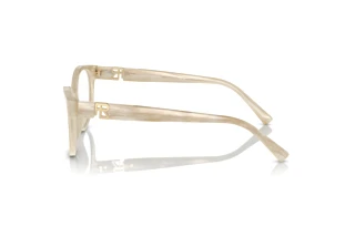 Zijaanzicht Ralph Lauren RL6238U (6107)