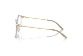 Zijaanzicht Ralph Lauren RL6239U (6112)