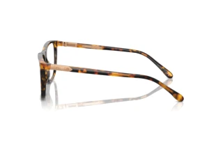 Zijaanzicht Ralph Lauren RL6242U (5134)