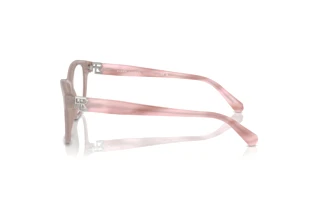 Zijaanzicht Ralph Lauren RL6243 (6183)