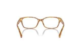 Achteraanzicht Ralph Lauren RL6244U (5304)