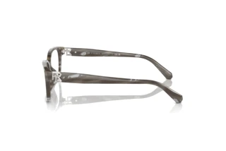 Zijaanzicht Ralph Lauren RL6244U (6175)