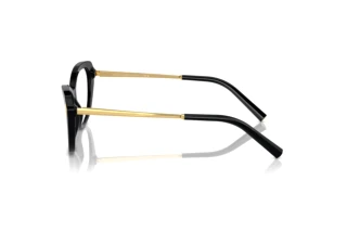 Zijaanzicht Ralph Lauren RL6245 (5001)